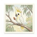 Baby cockatoo perched in a gum tree holding an almond.