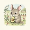 Baby bilby cradling an avocado half.